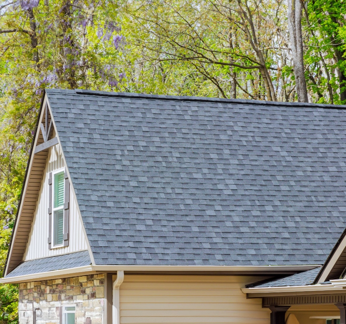 WhatsApp Image 2026-02-09 at 11.42.21 PM